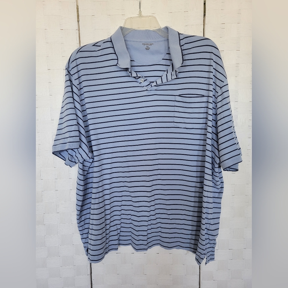 Roundtree & Yorke Blue Striped Polo Shirt